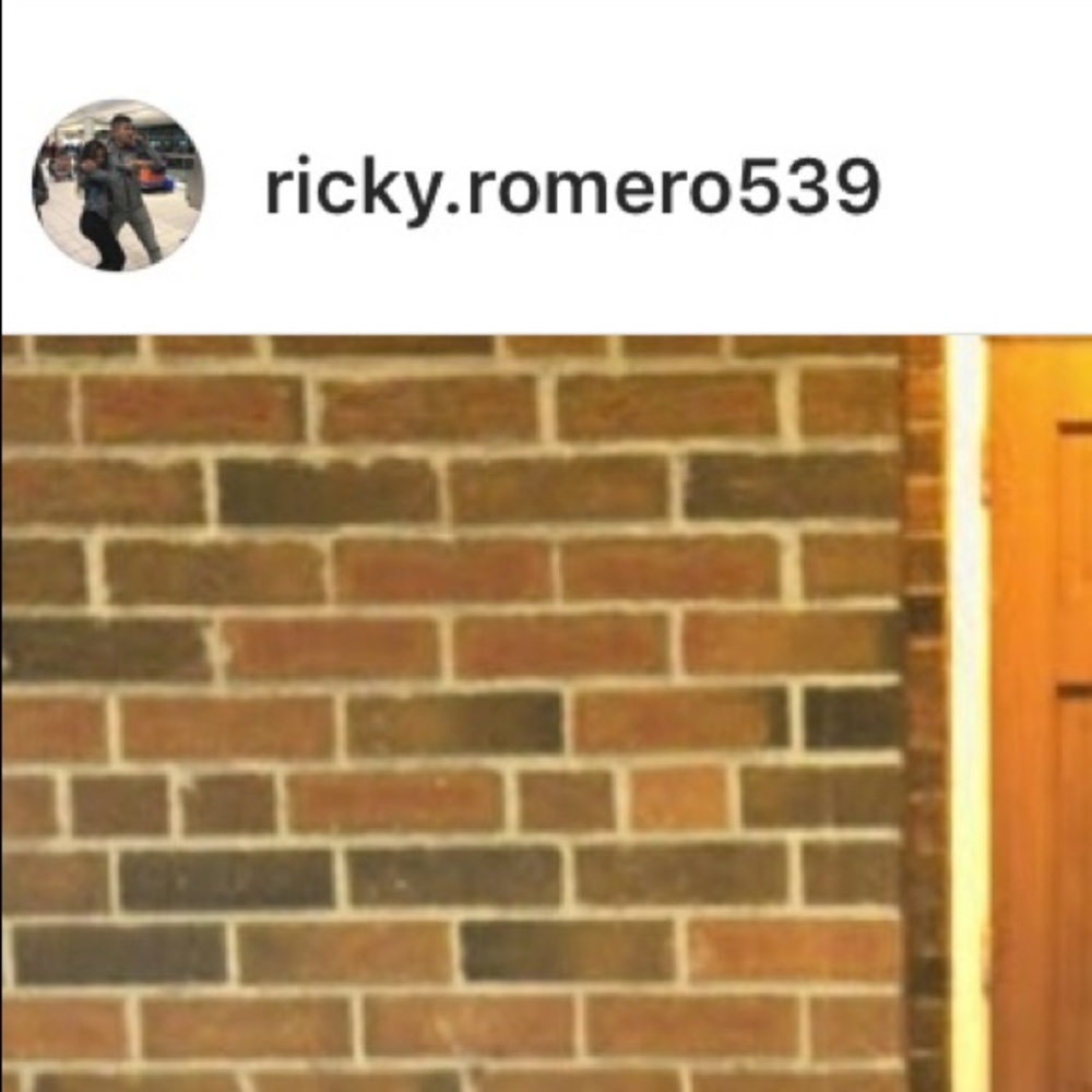 Meet your Posher, Ricky